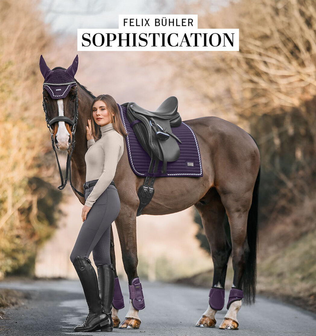 Felix Bühler F-021 18K &Titanium 25kw39_banner_kollektion_2x_de.jpg