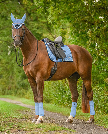 Cavallo