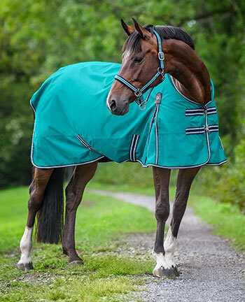 Coperte per cavalli