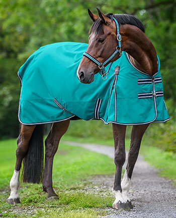 Coperte per cavalli