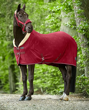 Coperte dopolavoro