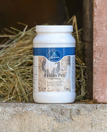 Digestione & metabolismo