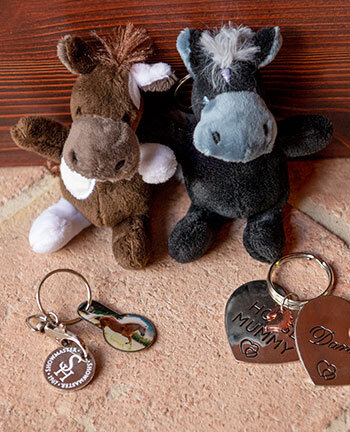 Accessori per smartphone & portachiavi