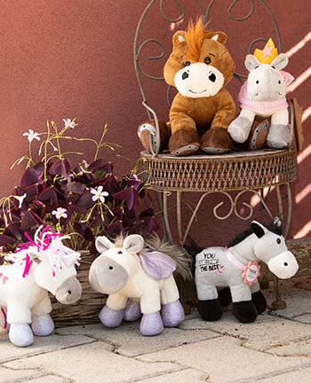 Horsly & peluches