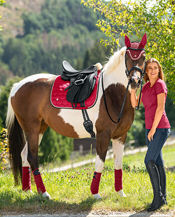 Collezioni per pony