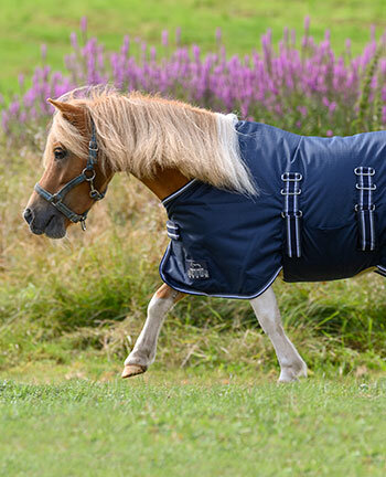 Coperte per pony & puledri