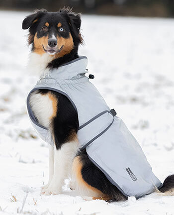Articoli riflettenti per cani