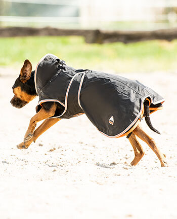 Articoli terapeutici per cani