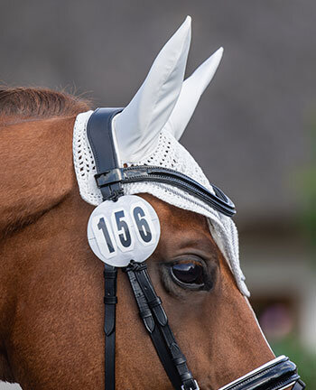 Accessori da gara per cavallo