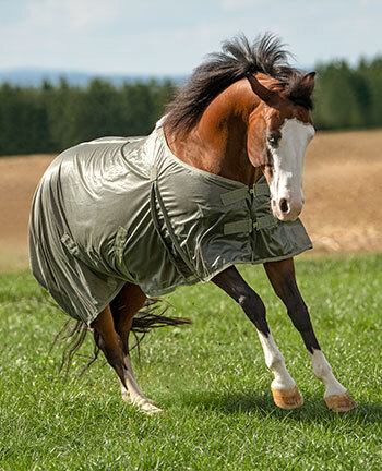 Coperte per cavalli western & accessori