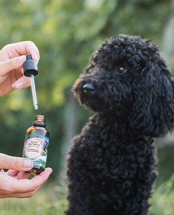 Prodotti per la cura del cane