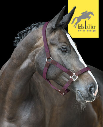 Felix Bhler capezze & longhine