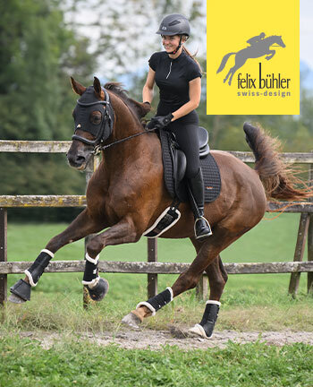 Felix Bhler terapia & rigenerazione