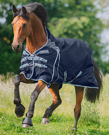 Coperte per cavalli