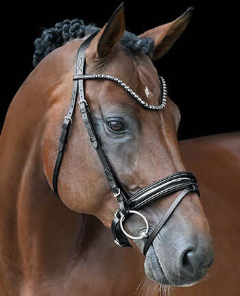 Testiere & accessori
