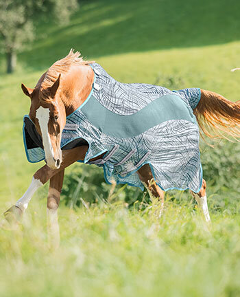 Coperte antimosche