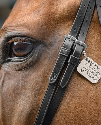 Accessori per testiere