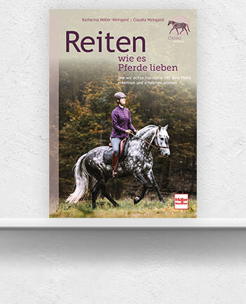 Equitazione amatoriale & western
