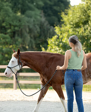 Horsemanship & lavoro da terra