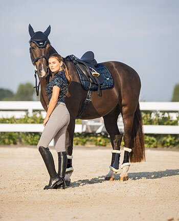 Collezioni per pony