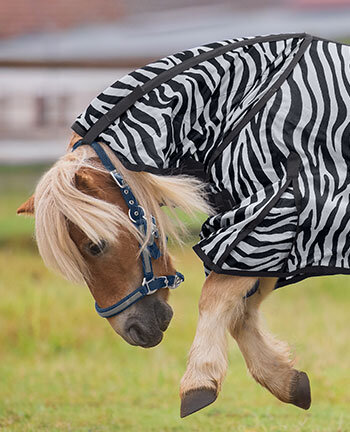 Protezione antimosche pony