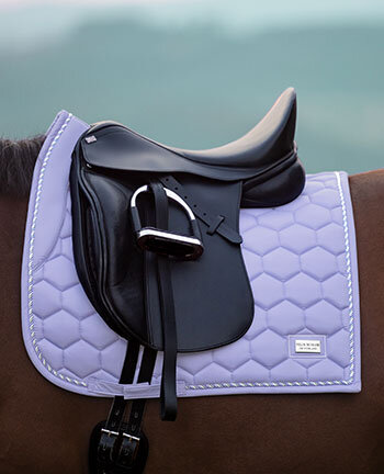Sottosella pony