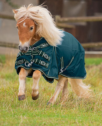 Coperte per pony & puledri