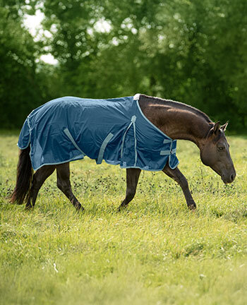 Coperte per cavalli western & accessori