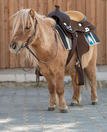 Pony western