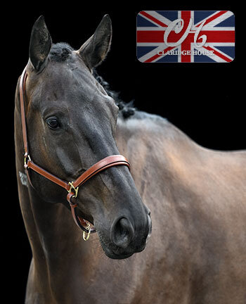 CLARIDGE HOUSE capezze