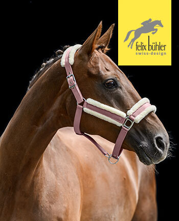 Felix B�hler capezze & longhine