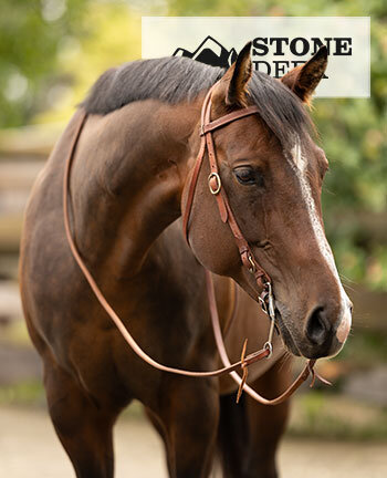 STONEDEEK testiere & accessori