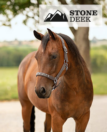 STONEDEEK capezze western