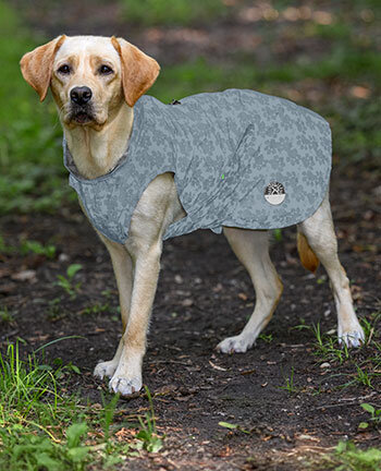 Articoli riflettenti per cani