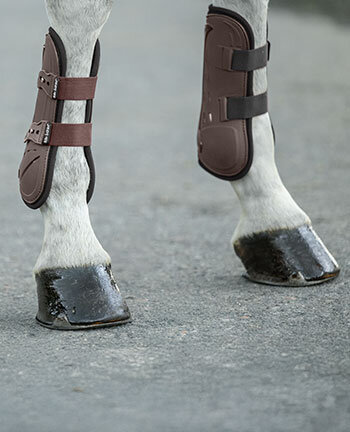 Protezioni per zampe & zoccoli