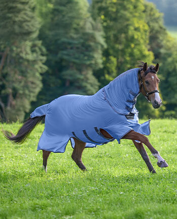 Protezione antimosche