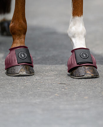 Paraglomi & protezioni per pastorale