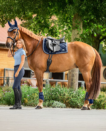 Collezioni per il cavallo