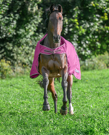 Coperte da giostra & coprireni