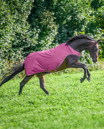 Coperte da giostra & walker