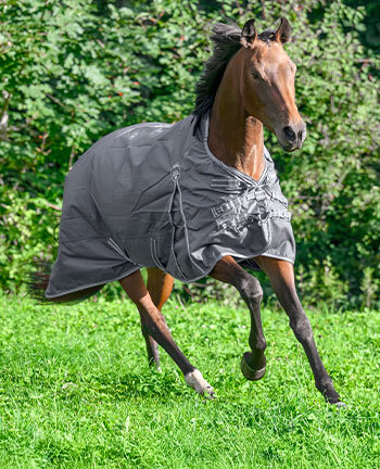Coperte impermeabili & invernali