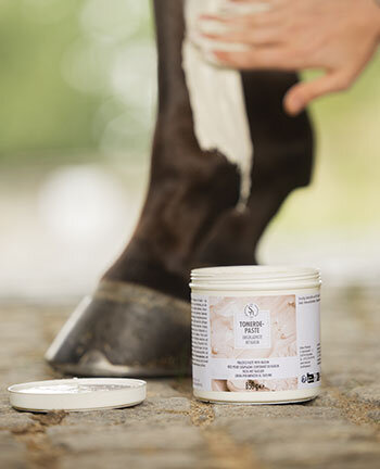 Tendini, legamenti & articolazioni