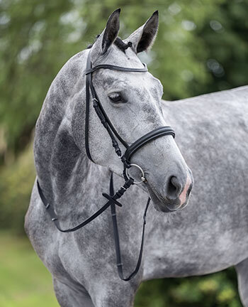 Testiere & accessori