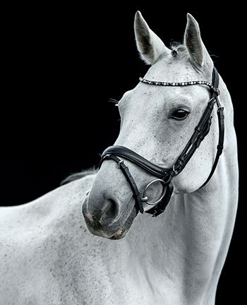 Testiere svedesi & doppie