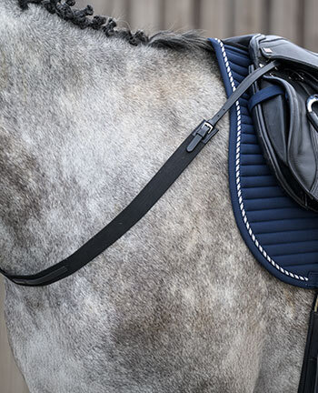 Pettorali & martingale