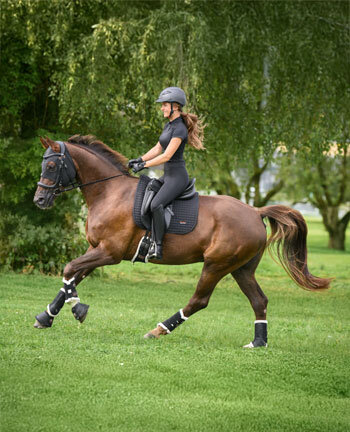 Articoli terapeutici per cavalli