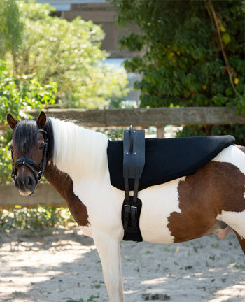 Fascioni da volteggio & accessori