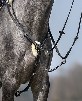 Pettorali & martingale