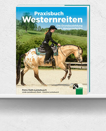Equitazione amatoriale & western