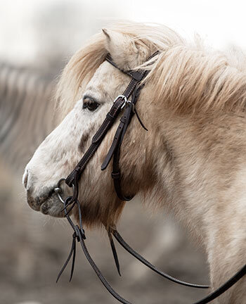Pony western